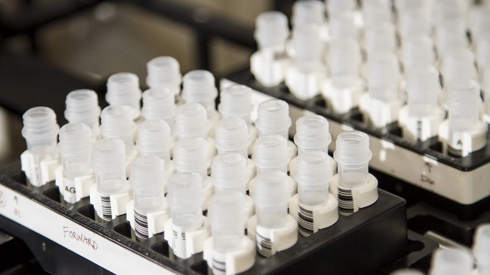 Rek met witte buisjes voor bloedmonsters in een laboratorium.