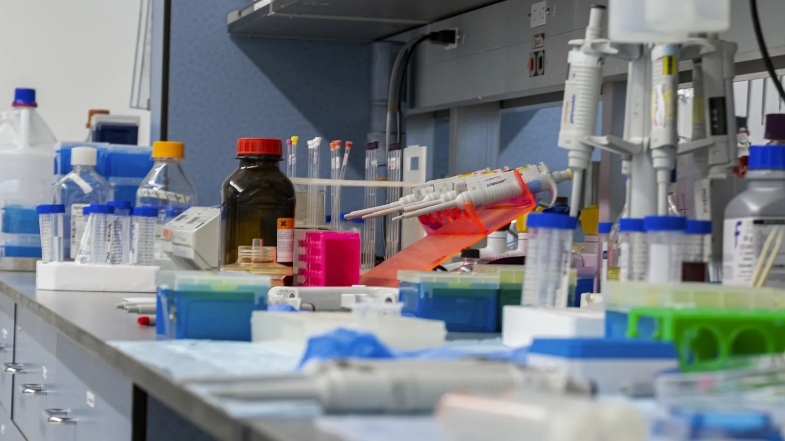 Blood draw: how a blood collection works, step by step