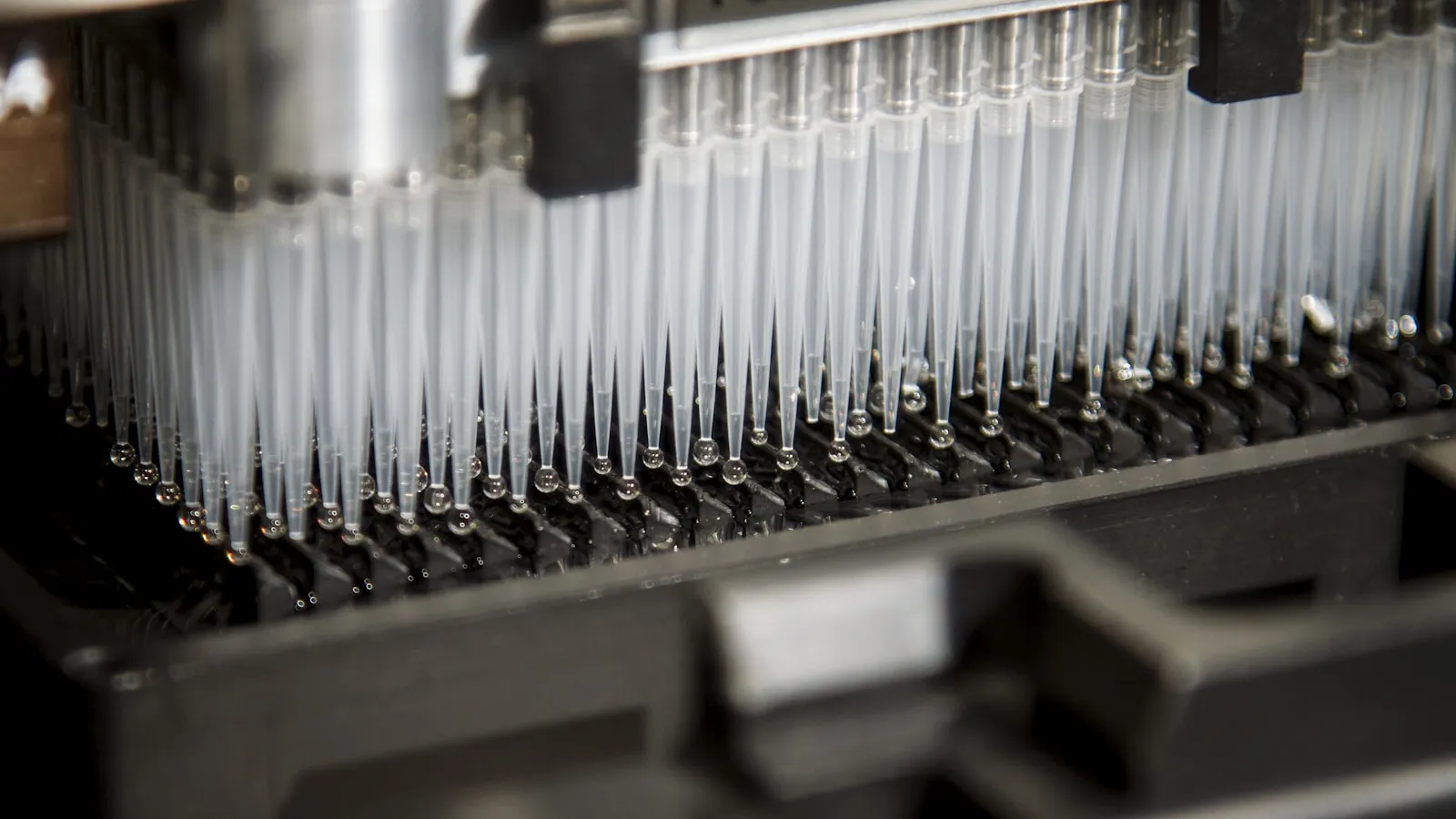 Laboratoriumapparaat met rijen pipetpunten waarmee bloedmonsters worden verwerkt.