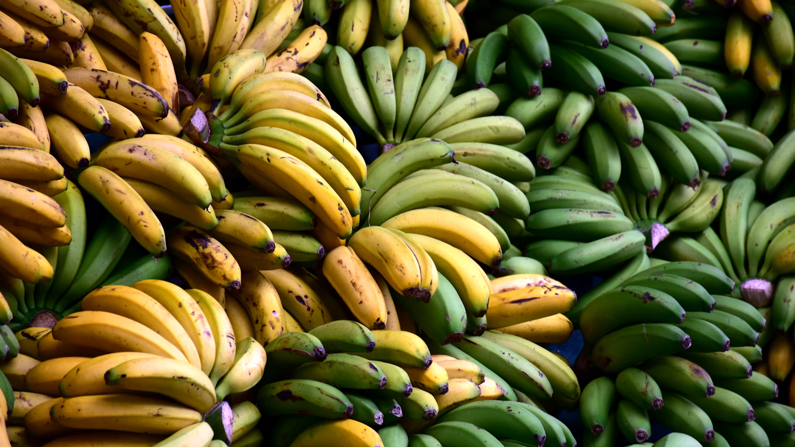 Trossen gele en groene bananen naast elkaar op een marktkraam.