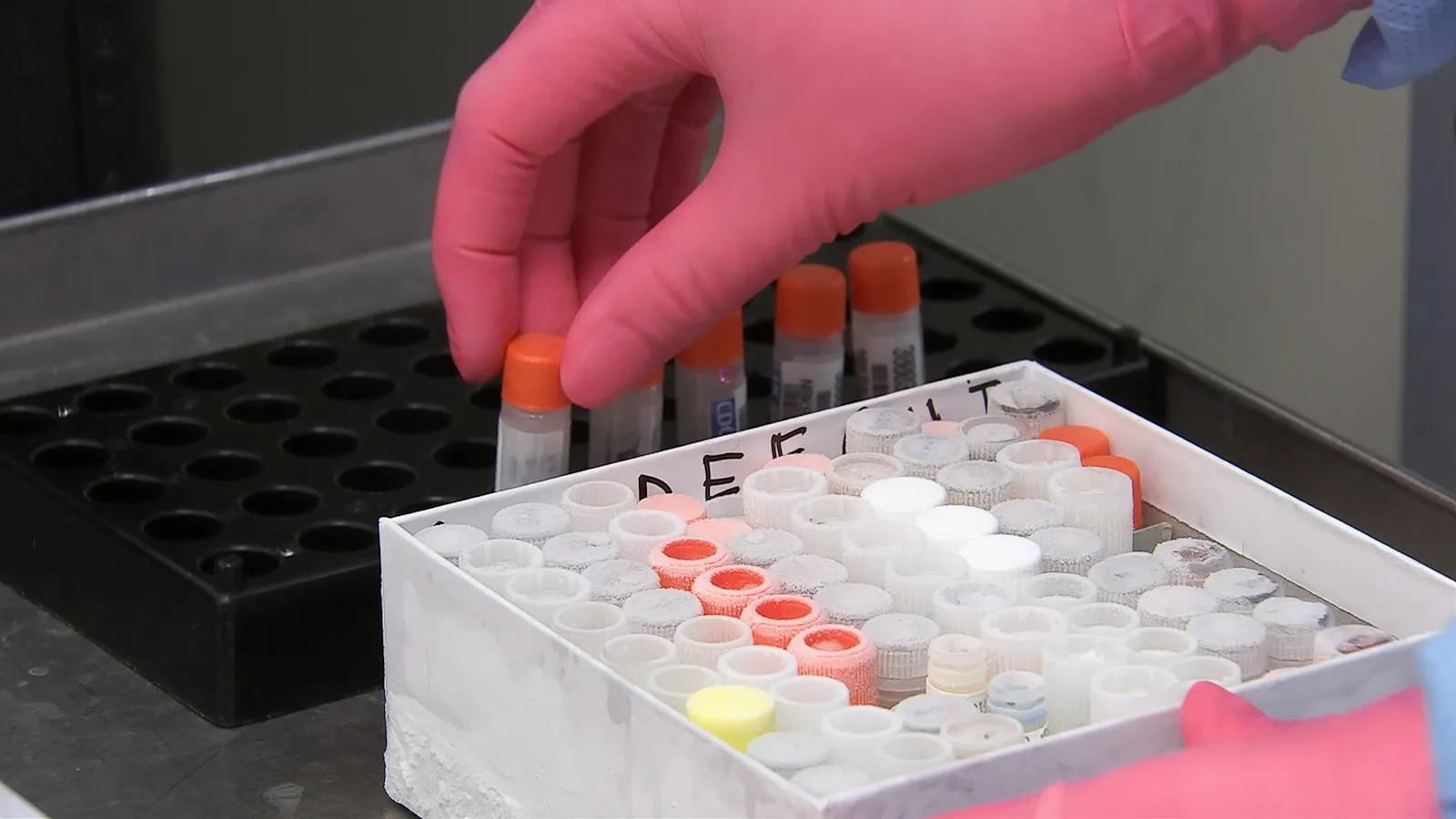 Gehandschoende handen zetten bloedbuisjes in een rek in een laboratorium.