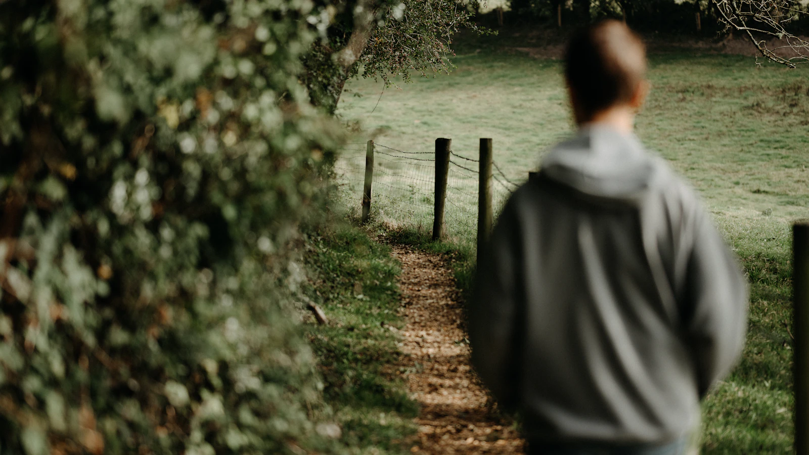 A man walks along a path in the woods.