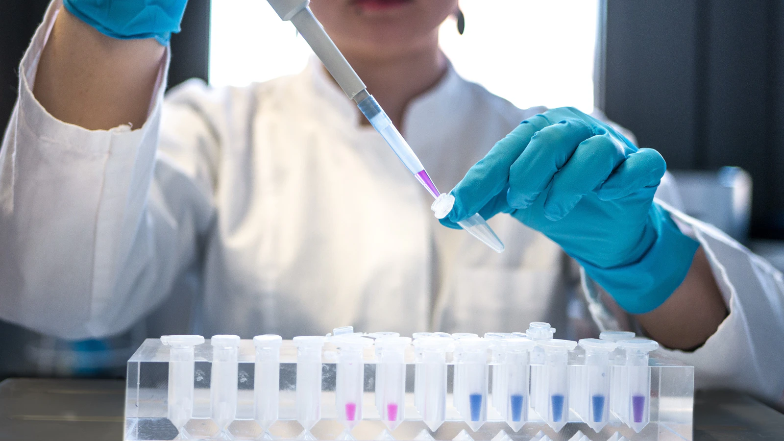 A lab technician uses a pipette with test tubes in a laboratory.
