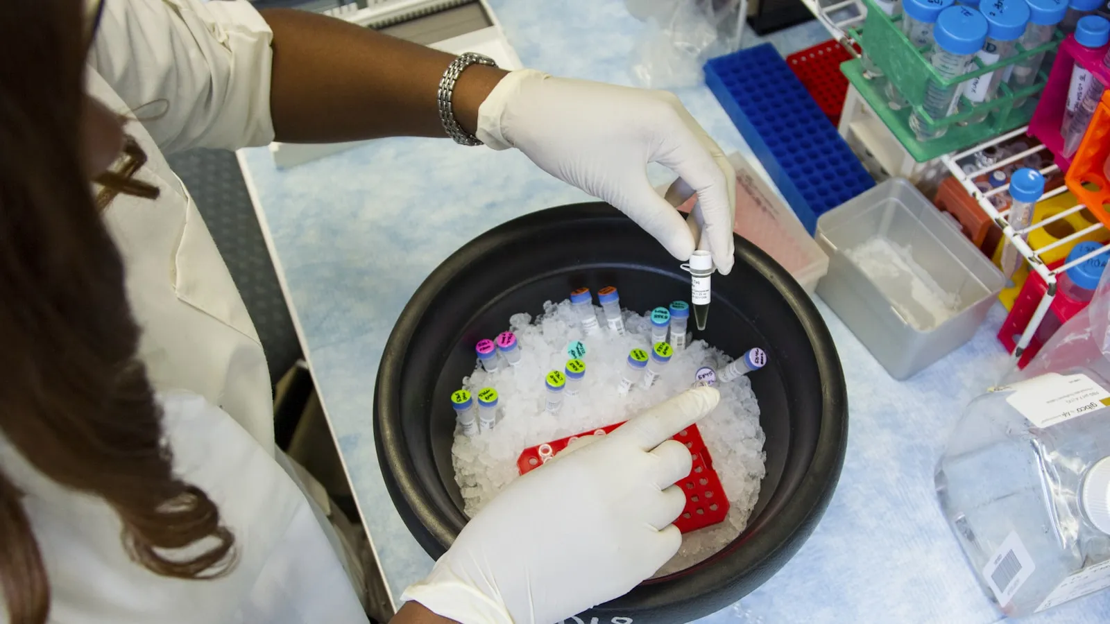 Laborant pipetteert monsters in kleine buisjes in een laboratorium.
