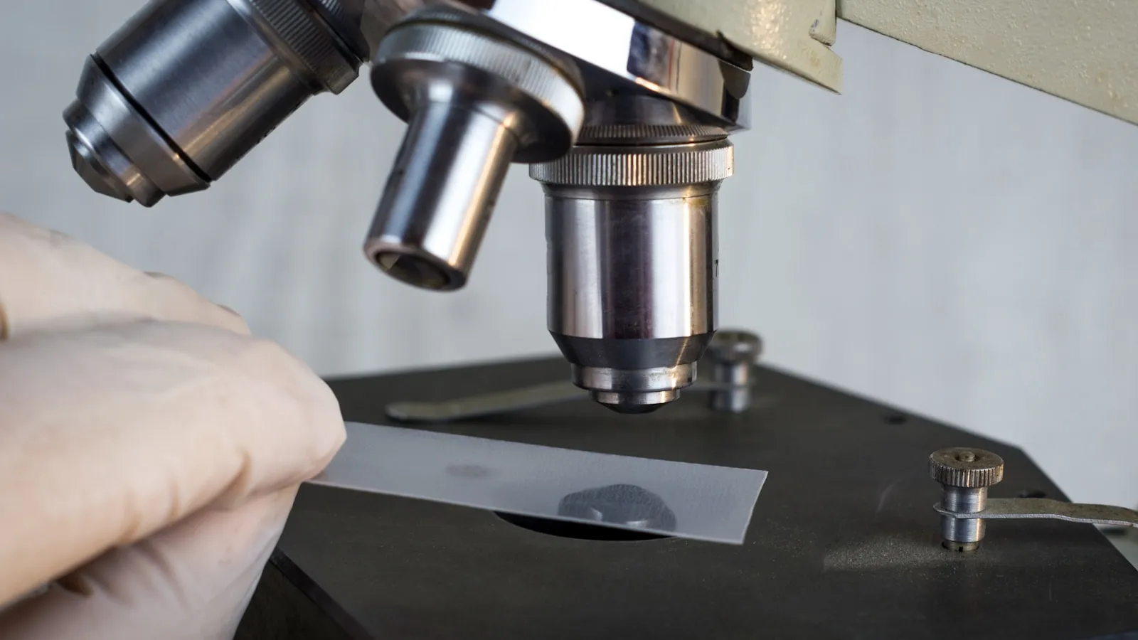 Een gehandschoende hand legt een objectglaasje onder een microscoop.